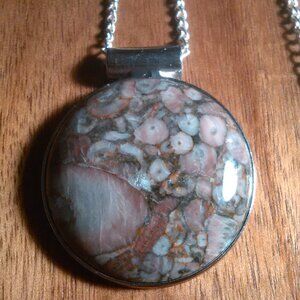 Insect Fossil Jasper Round Silvertone Pendant Necklace